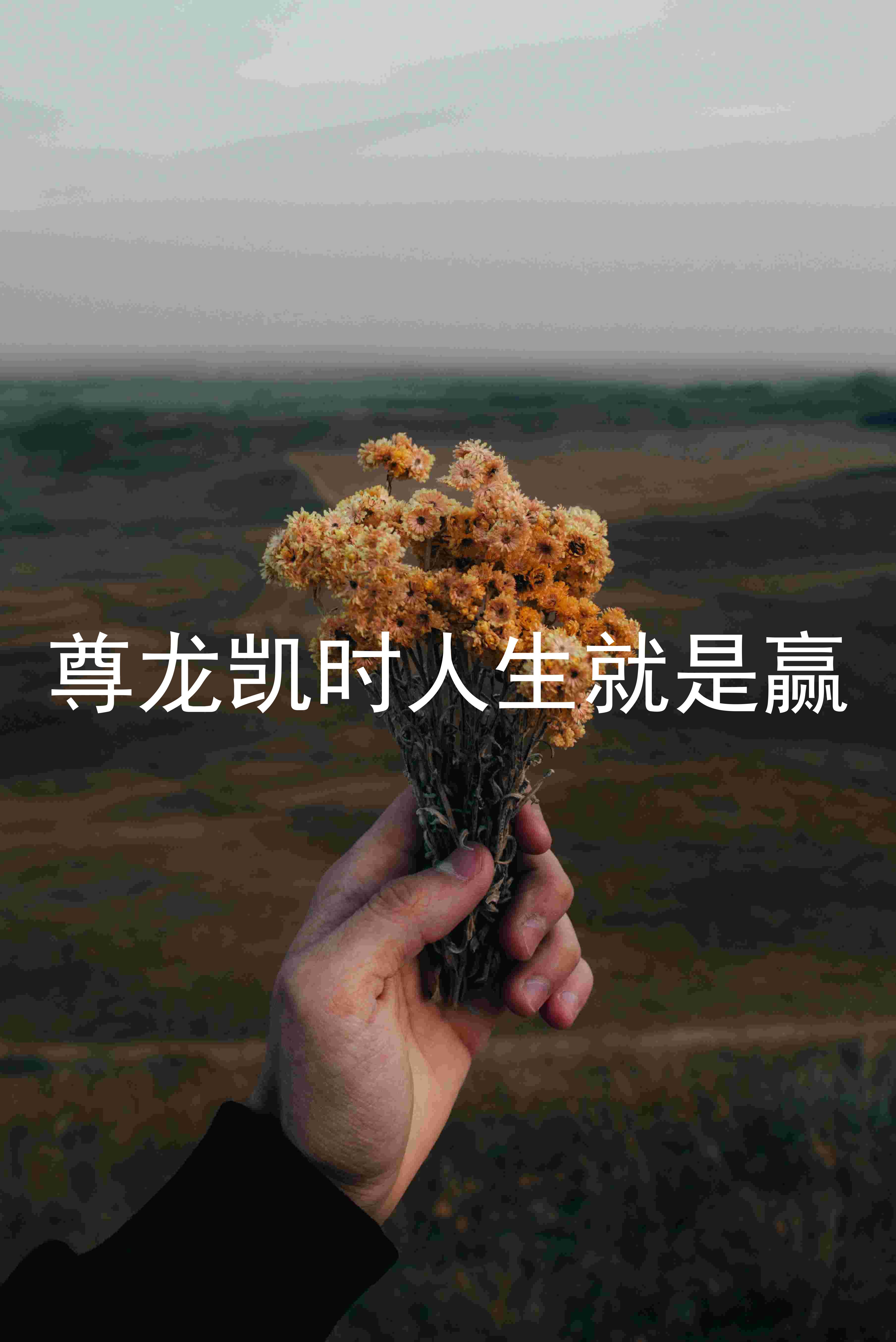 尊龙凯时人生就是赢