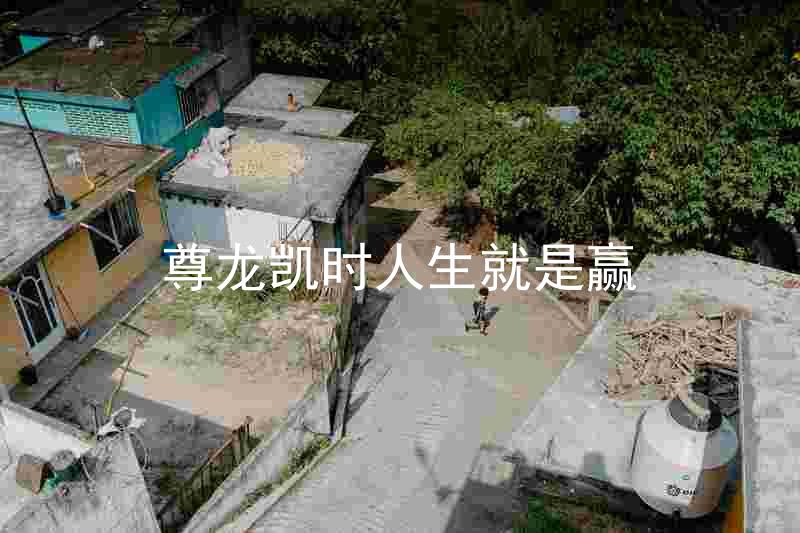 尊龙凯时人生就是赢
