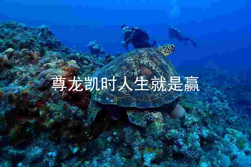 尊龙凯时人生就是赢