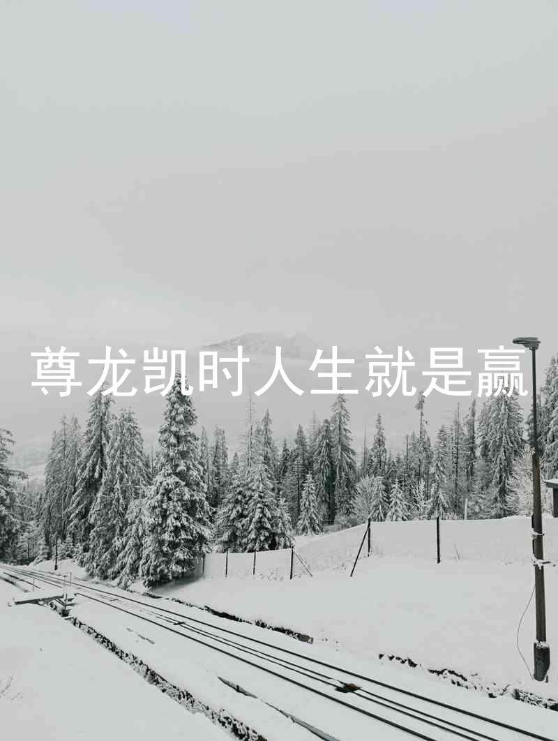 尊龙凯时人生就是赢