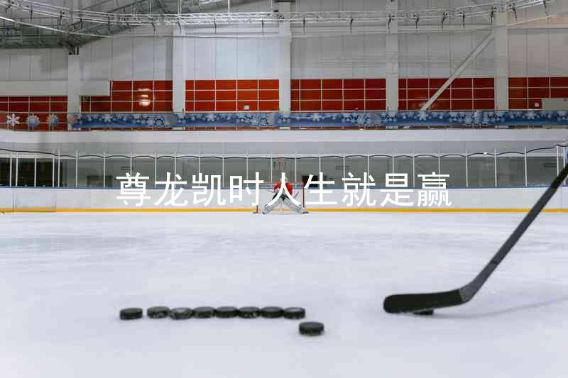 尊龙凯时人生就是赢
