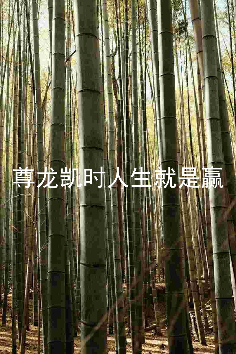 尊龙凯时人生就是赢