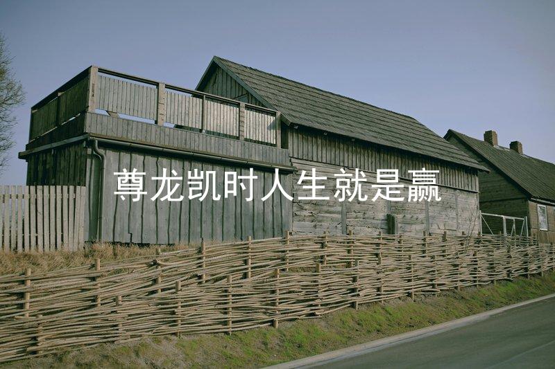 尊龙凯时人生就是赢