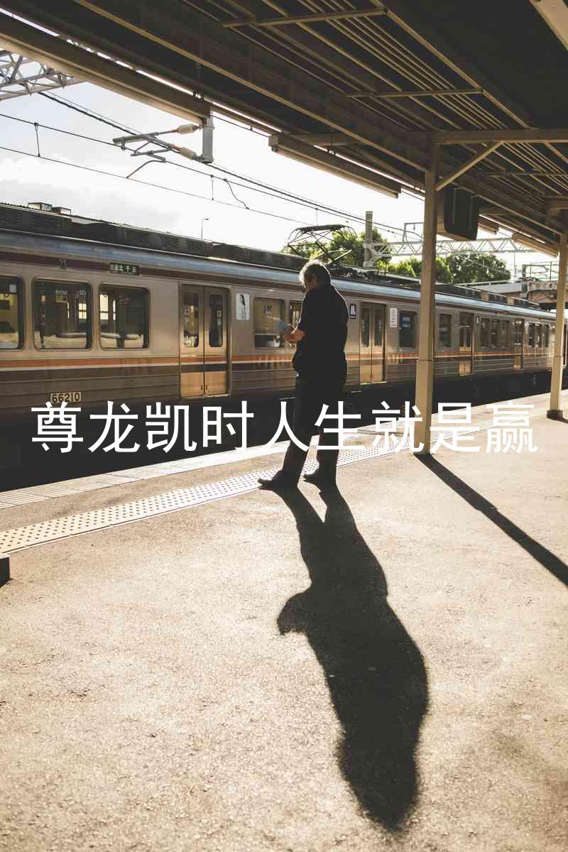 尊龙凯时人生就是赢