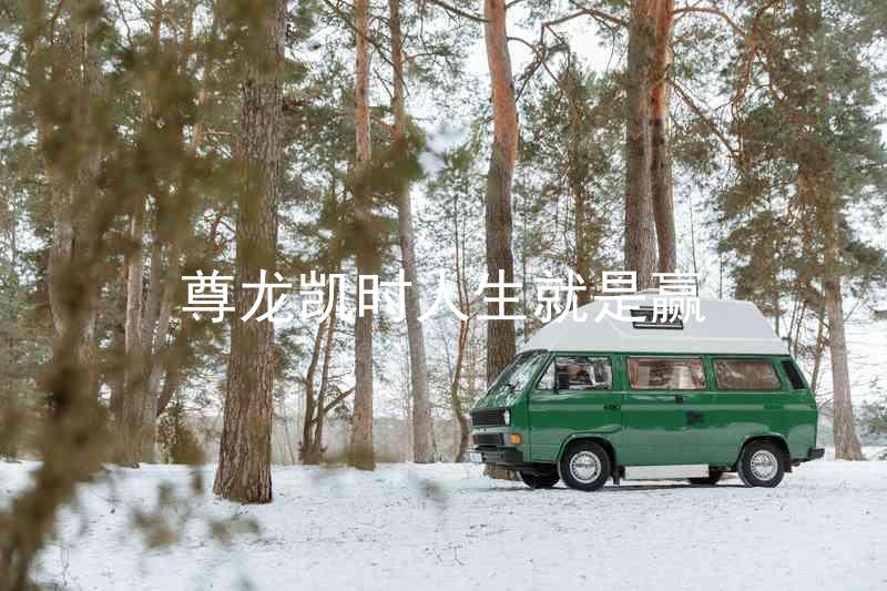 尊龙凯时人生就是赢