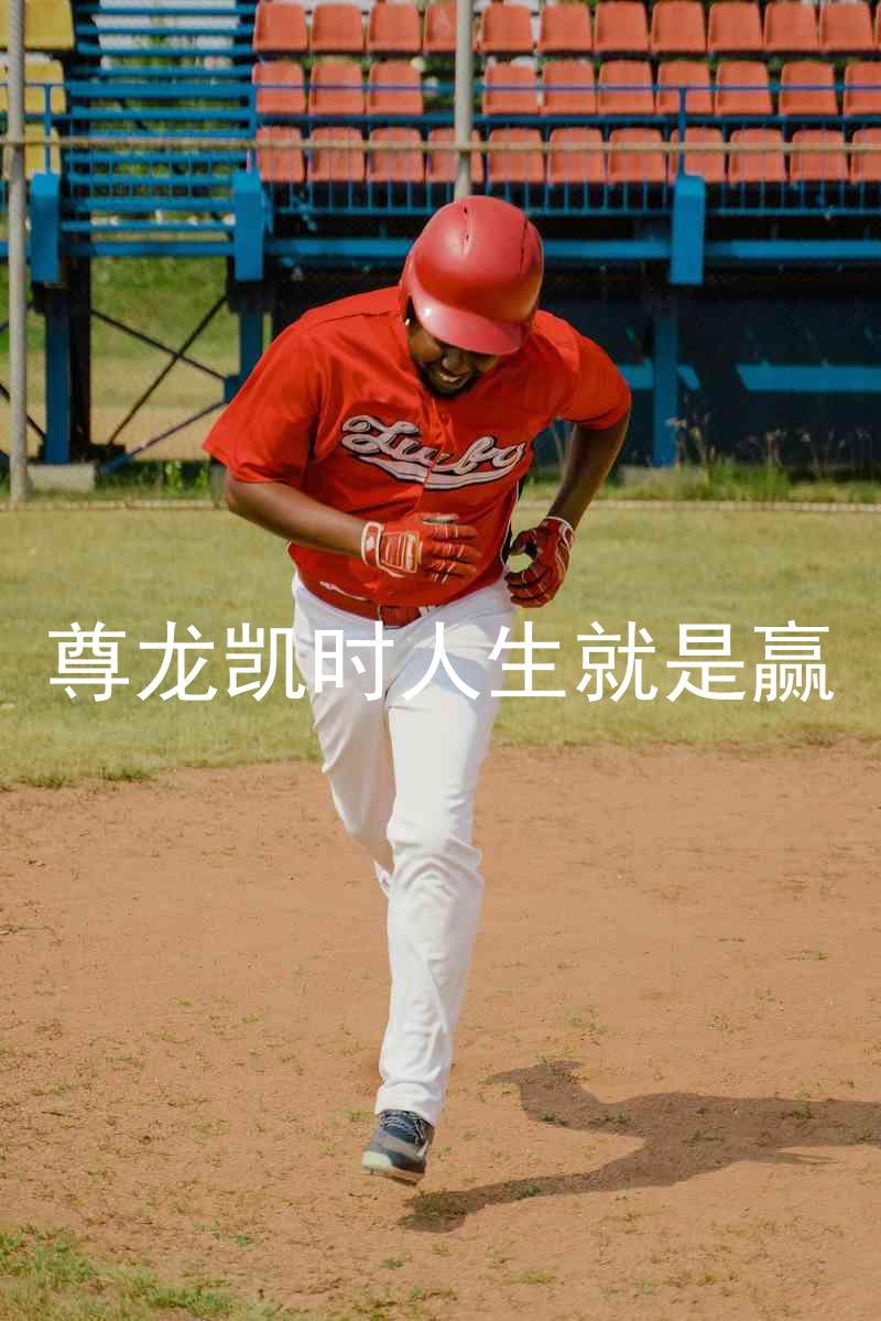 尊龙凯时人生就是赢