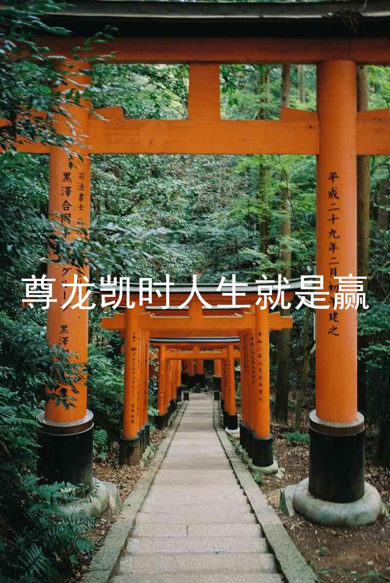 尊龙凯时人生就是赢