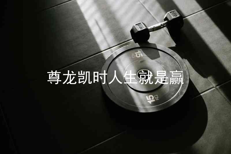 尊龙凯时人生就是赢