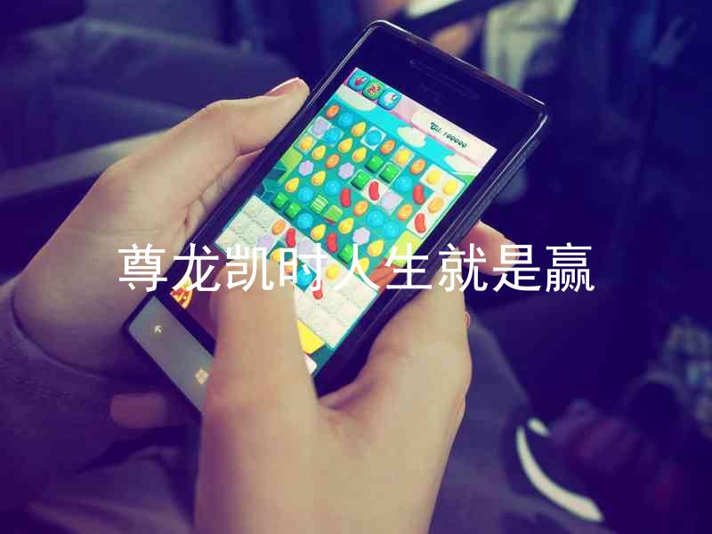 尊龙凯时人生就是赢