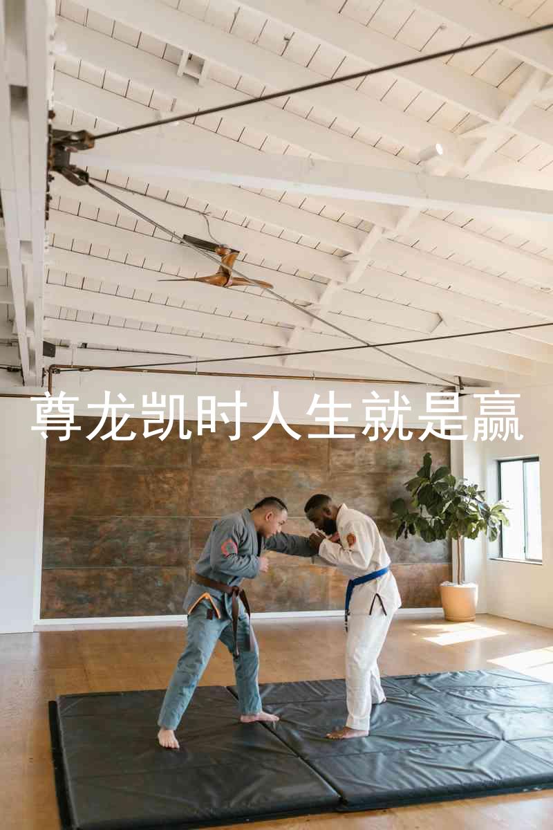 尊龙凯时人生就是赢
