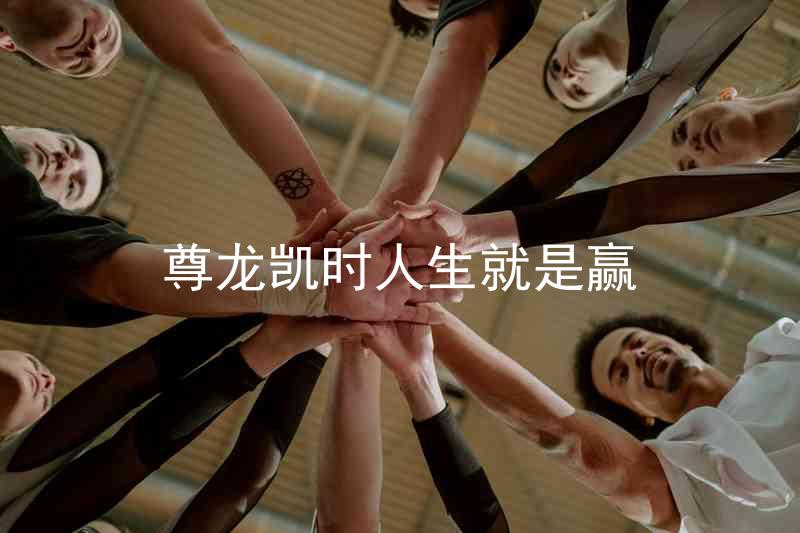 尊龙凯时人生就是赢