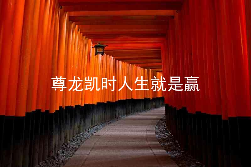 尊龙凯时人生就是赢