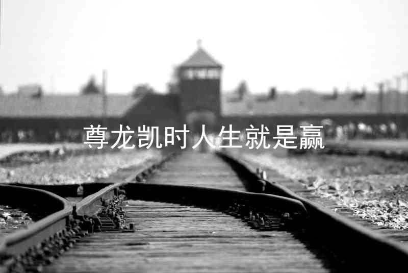 尊龙凯时人生就是赢