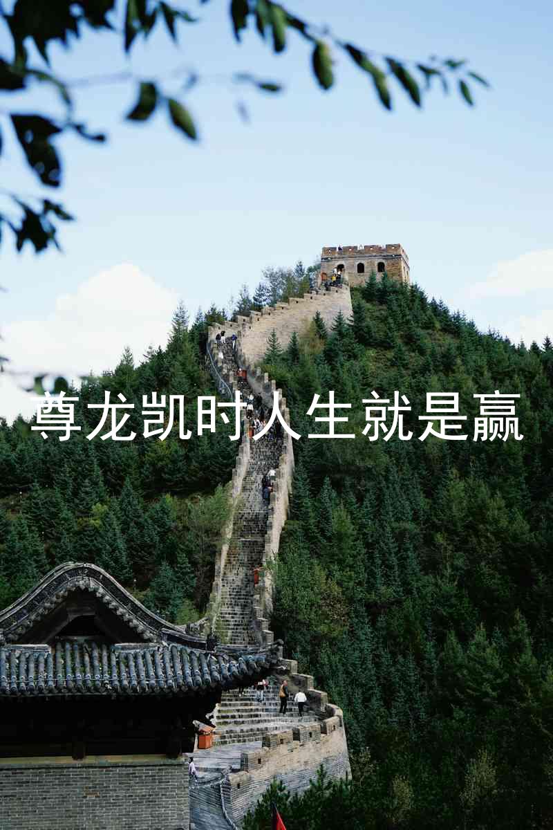 尊龙凯时人生就是赢