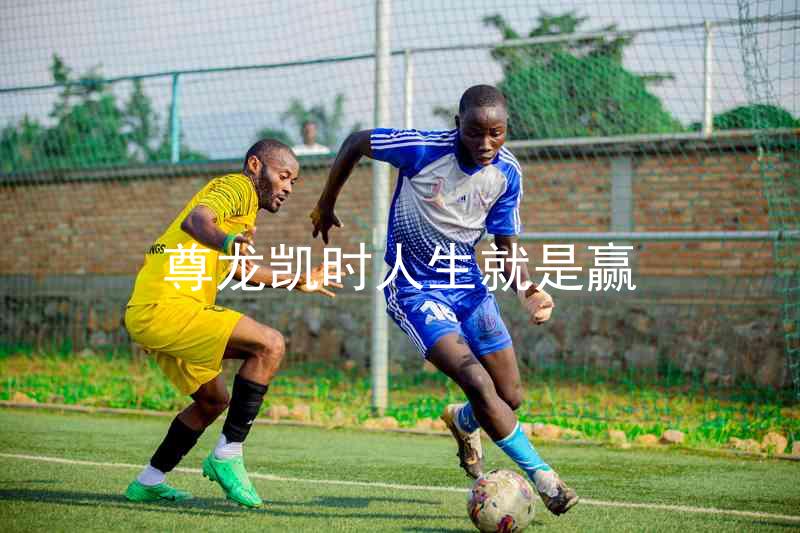 尊龙凯时人生就是赢
